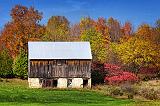 Autumn Barn_17884